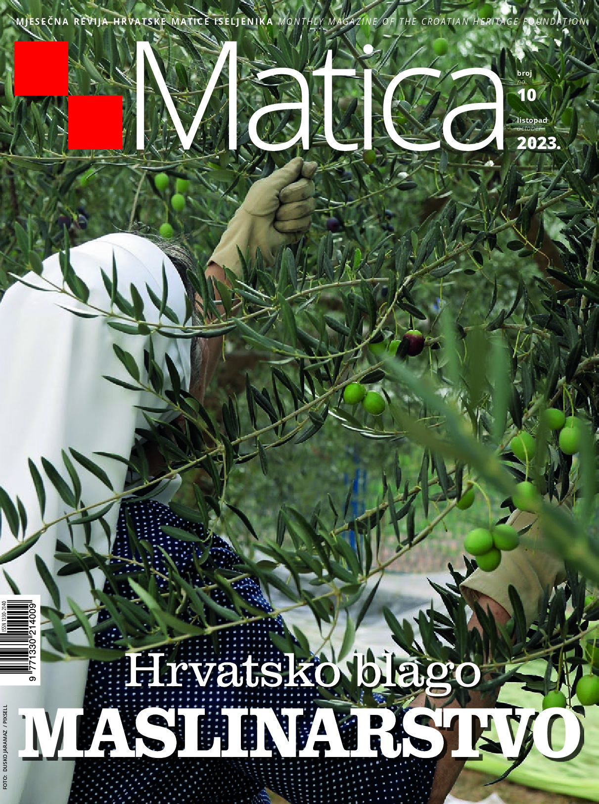 PDF Preview