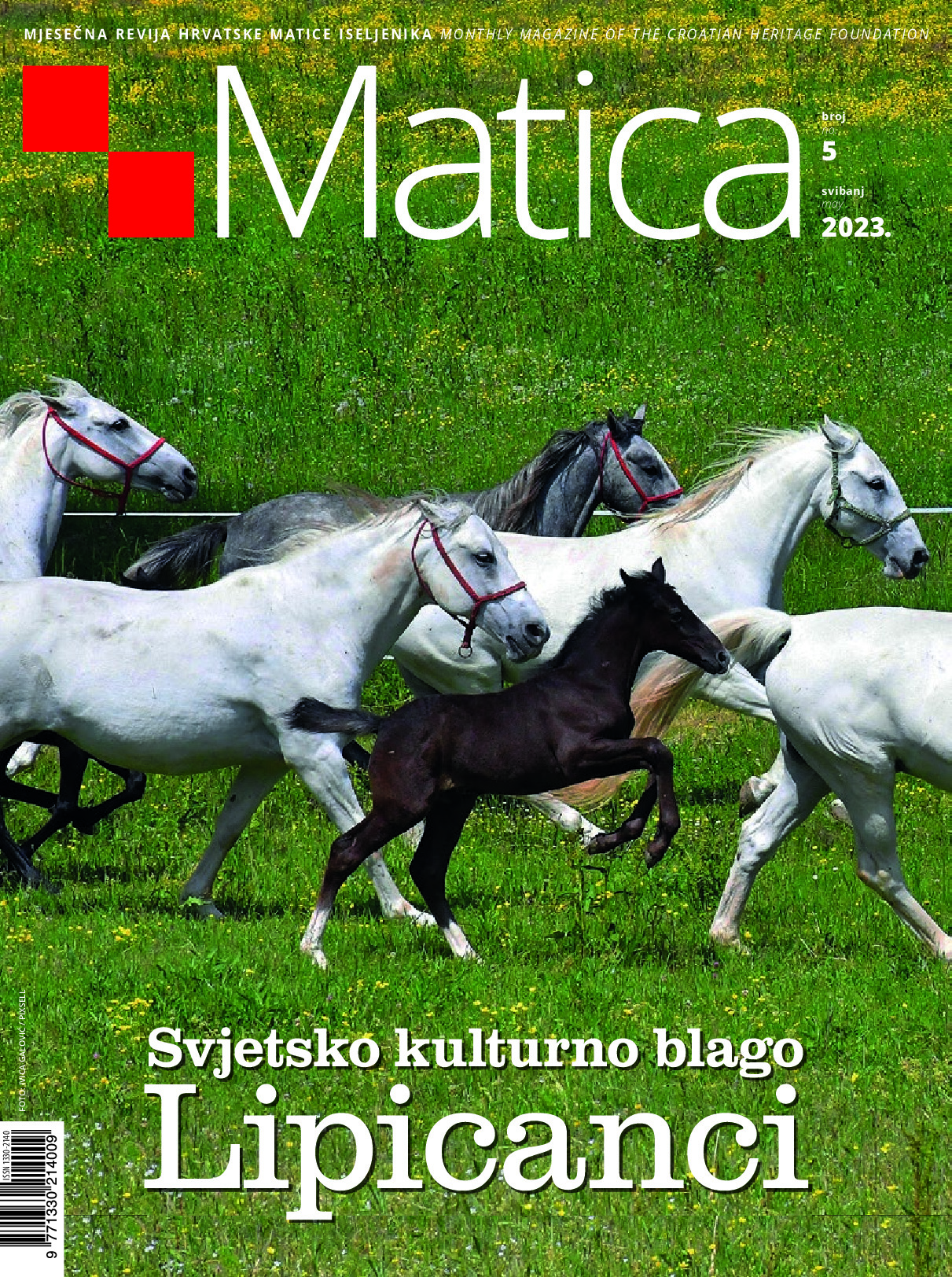 PDF Preview