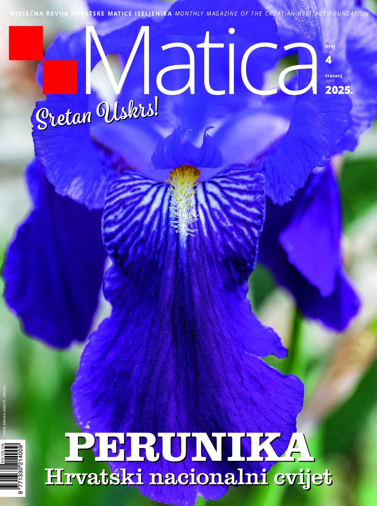 PDF Preview